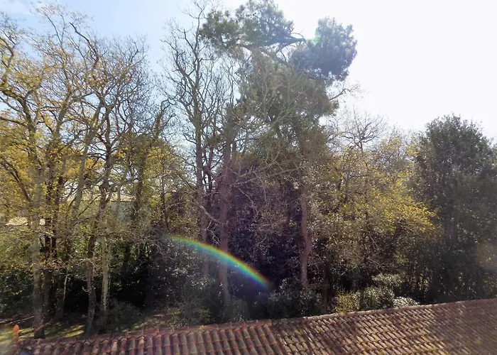 Georges De Didonne - Cosy Avec Balcon - Proche Apartmán